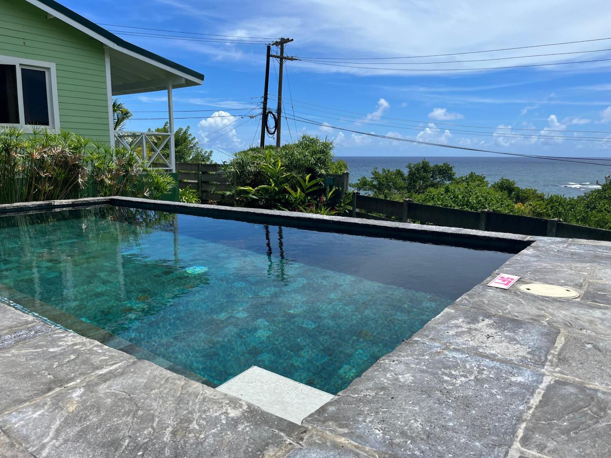 Studio Blu At Waves Villa Guesthouse Brighton Village ภายนอก รูปภาพ